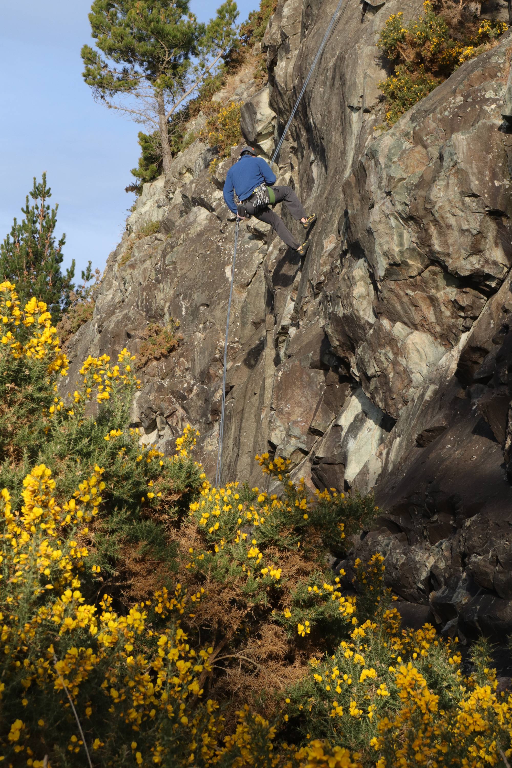 No one wants to abseil into gorse. Let's clean it up! No one wants to abseil into gorse. Let's clean it up!